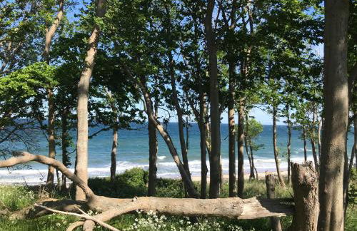 Ferienbauernhof Liesenberg Meerblickhaus Strandmuschel - Foto 76