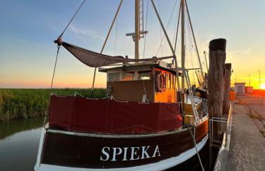 Ferienhaus Sandbar direkt am Deich - Foto 20