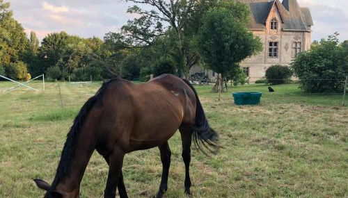 Manoir De La Chouanniere - Foto 4, Garden view