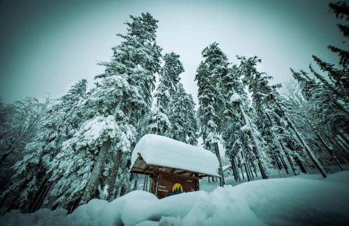 La Casina del Teso - Foto 14