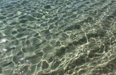 Lux min to Beach and Hospital with Hot Tub - Foto 8