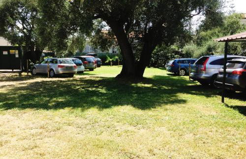 Fili d'Erba Cilento - Foto 21