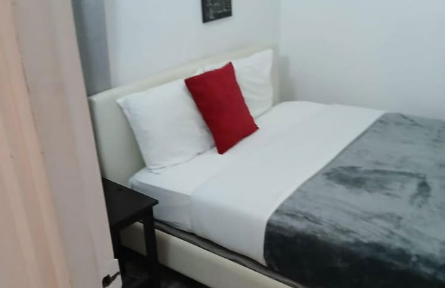 Gladiolas 1103 - Foto 3