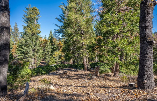 Cozy Corner Yosemite Studio Close to it All! - Foto 27