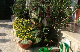 Apartments VESNA - Photo 1