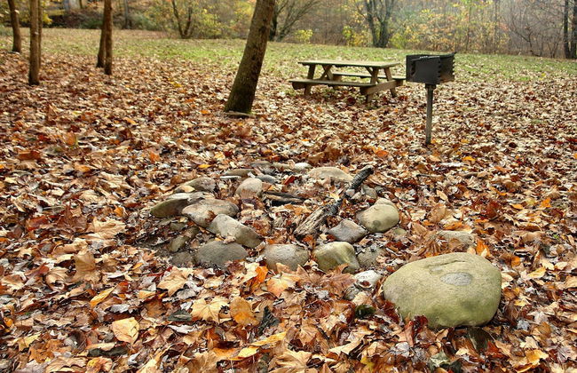 Jon's Pond on Cosby Creek - 2 Bedrooms, 2 Baths, Sleeps 6 Cabin by RedAwning - Foto 12