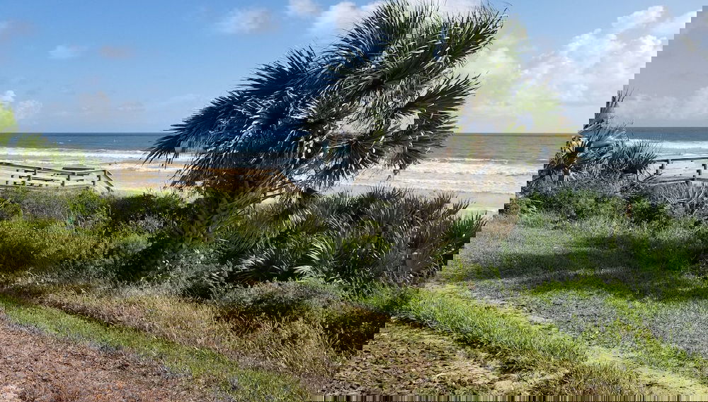 Summerhouse 352 - Photo 1, Image principale