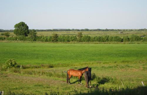 Nordseekrabbe 12 Herrenhof - Foto 17