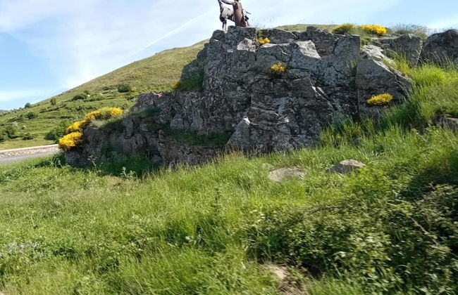 Sunlit Villa in Banne - Photo 38
