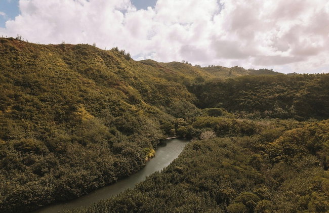 Kauai Plantation Hale Hotel - Foto 113
