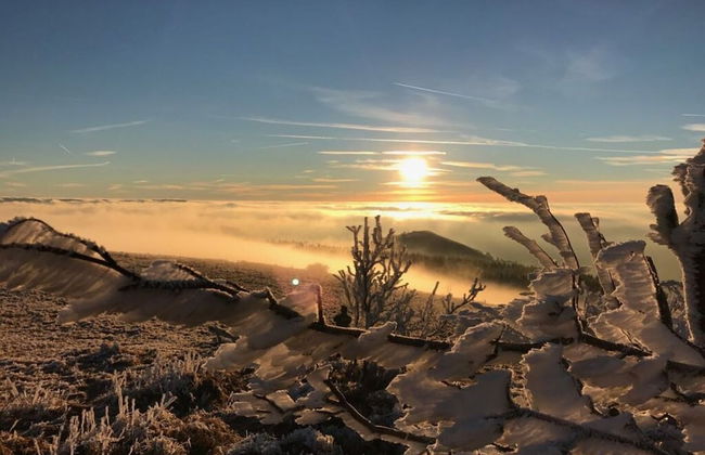 Holiday Apartment Erlebnisrhoen - Foto 11