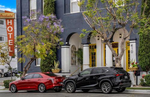 The Neon Elm Hotel - Foto 40