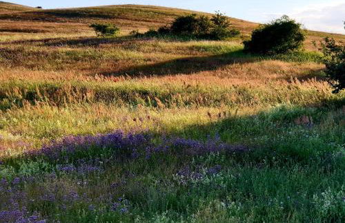 Insel Landhaus Feuerstein - Foto 46