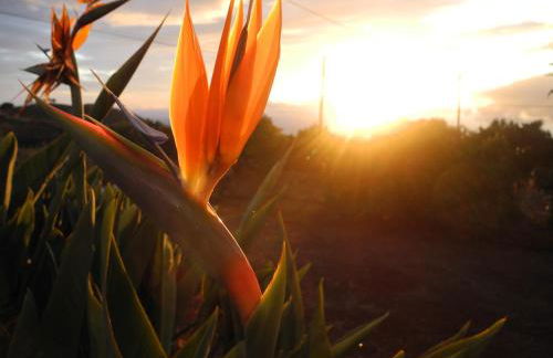 Pino Redondo - Foto 47