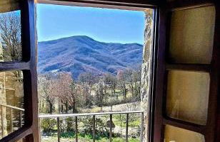 Ca' d'Alfieri - Photo 3