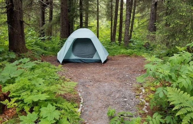 Bear Necessities Cottages - Foto 3