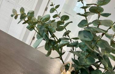 308 Cozy and warm King Bed APT in center city - Foto 42