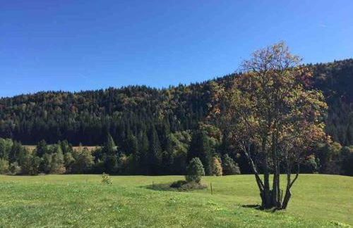 Maison de charme Haut-Jurassienne - Foto 9