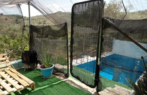 El Almendro de la Tia Teresa - Foto 17