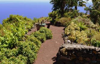 Finca El Lance - Foto 50