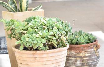 Raeti Cretan Guesthouse - Foto 20