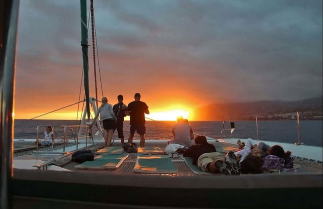 Whale Watching Sunset Cruise - Photo 4