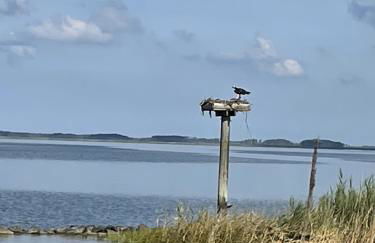 Fabulous Beach House on Elliott Island -beautiful sandy beach, tranquil 6 acres - Foto 37