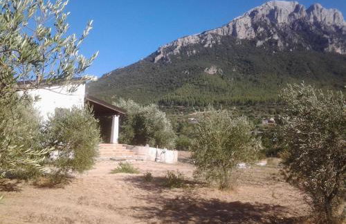 Casa Corofulu Oliena - IUN P2139 - Foto 23