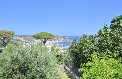 Appartamenti Ischia la Sentinella - Foto 41