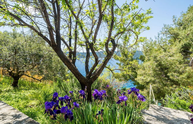 Holiday rental in Dubrovačko primorje with terrace - Photo 36