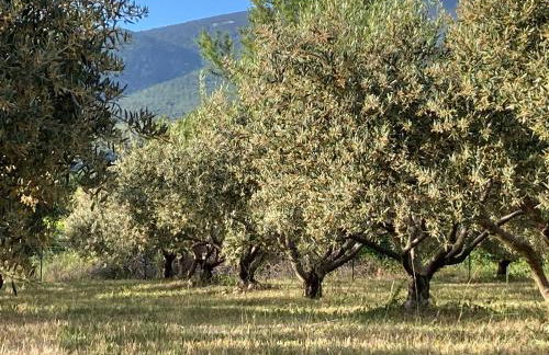 Maison de la Porte des Loups dans le Ventoux - Foto 4