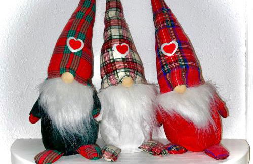 CASA CARCENTINA - fronte seggiovia, sulla pista Stelvio - Foto 1