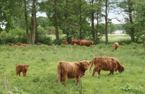 Amazing Home In Stepnica With Kitchen - Foto 29