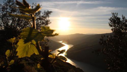 Socalcos do Douro House - Foto 5