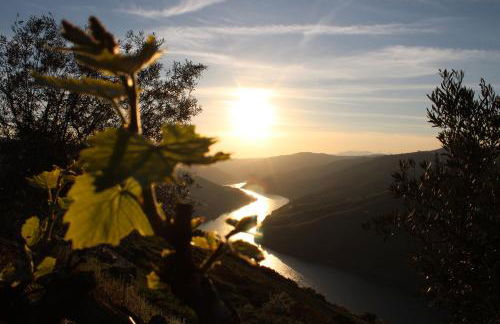 Socalcos do Douro House - Foto 5