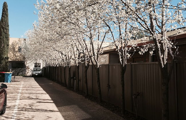 Central Shepparton Apartments - Photo 20