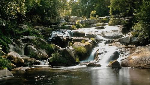 Casa do Terreiro - Foto 5