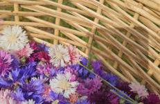 Podere Miray - Foto 8