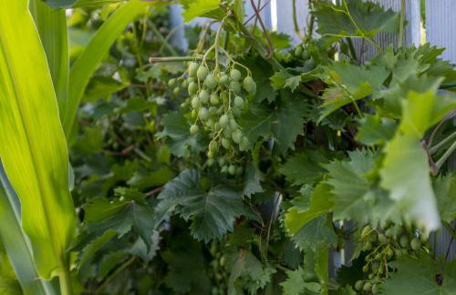 APARTMENTS ANA - Foto 74