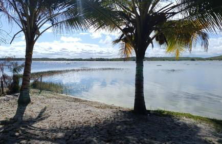 Casa lagoa dos tambaquis - Photo 18