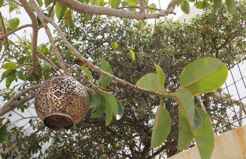 Panormos Apartments - Foto 52