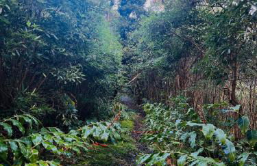 Casa do Postigo Rustic Refuge to Relax - Photo 11