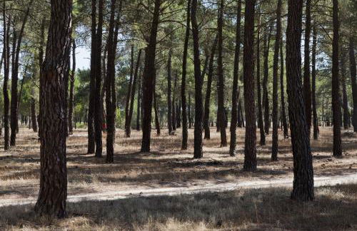 Tiara Vacaciones - Foto 28