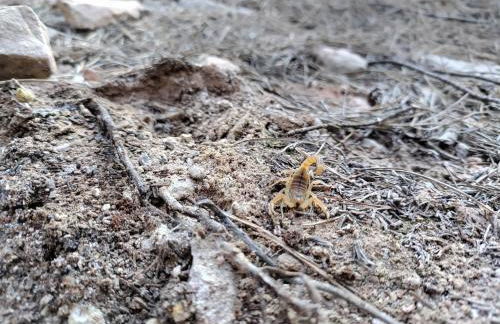 Cal Vientos - Foto 52