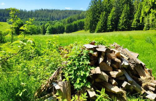 Biobetrieb Lippenhof - Foto 21