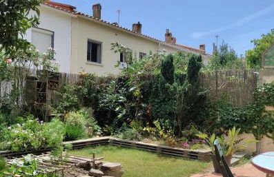 Les Papillons - Foto 10