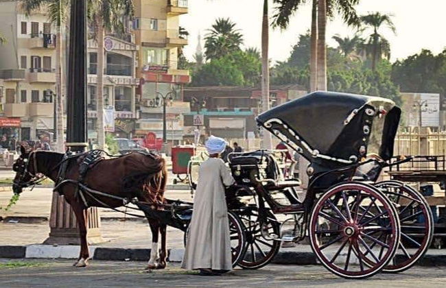 Passeio de charrete por Luxor - Foto 1