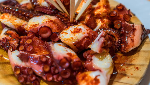 Tour in Vigo - Photo 4