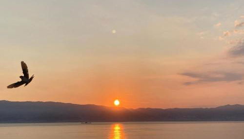 ArmacHouse - Appartamenti sul mare - Foto 3