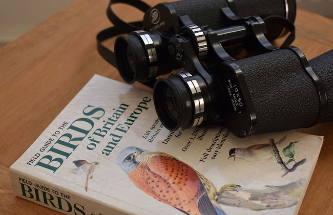 Strand House - Foto 40